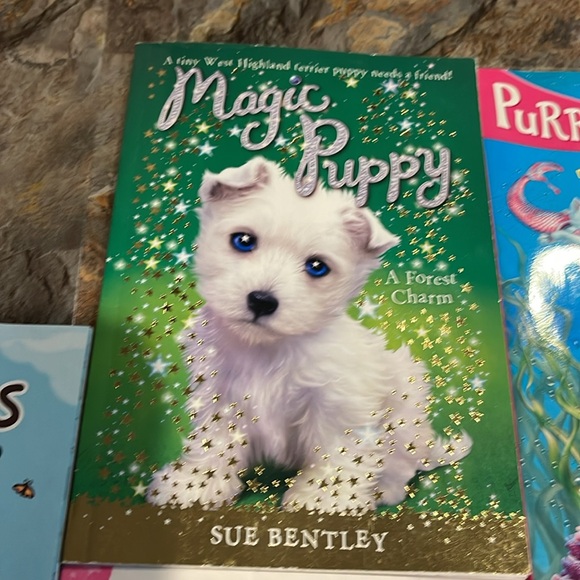 Entire a lot of books and stickers, activities books. - Picture 11 of 15